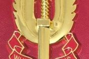 Metal SAS badge .