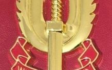 Metal SAS badge .