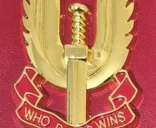 Metal SAS badge .