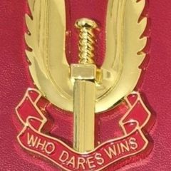 Metal SAS badge .