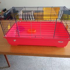 Animal cage