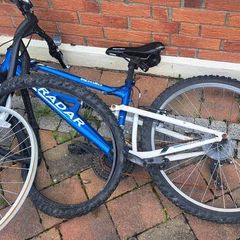 Bike for free
