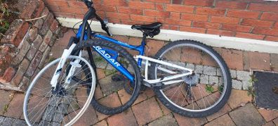 Bike for free