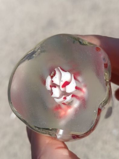 A Pair of Glass Paperweights