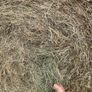Hay Image 2
