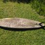windsurf Image 6