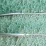 Vintage Sugar Tongs, Sterling Silver  Ornate French Ice Tongs, Antique Sugar Pincers, Tea Serving Tool, Bar Tool - 41g Image 5