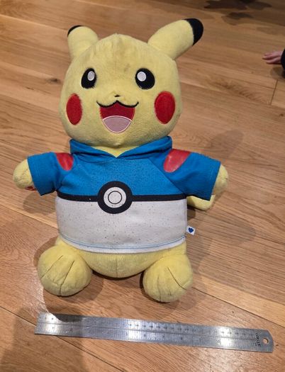 Pokemon teddys