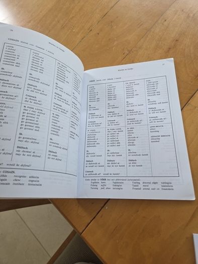 Briathra na gaeilge and grammar card