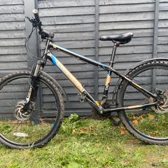 Bentini Raptor 26