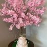 Cherry blossom tree Image 2