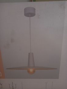 Large Pendant Light
