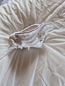 Shell Shaped pot/plant holder