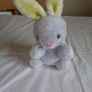 Cuddly Bunny Rabbit for Sale Image 4