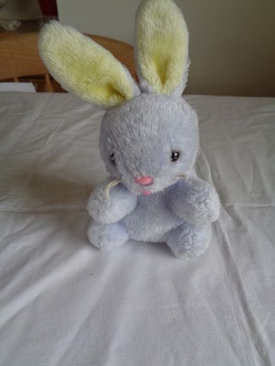 Cuddly Bunny Rabbit for Sale