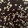 Stylish All-over Print Blouse size 10 Image 3