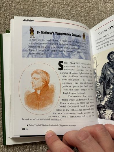 Irish History: From Prehistoric Times to the Present Day by Seamas Mac Annaidh