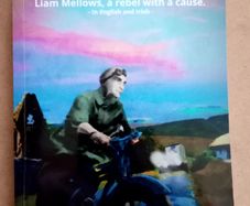 Slan Libh Boys Liam Mellows Book