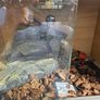 reptile tank enclosure Image 5