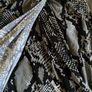 dress Image 8