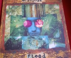 HEADSWIM - Flood  -Gatefold LP - 2022 Re-release (Fully autographed)