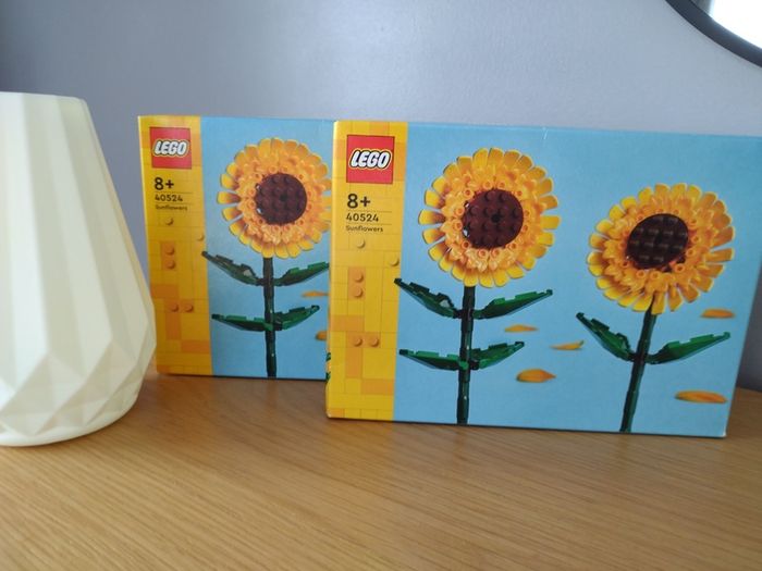 LEGO Botanicals Flower Sets