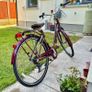Jupiter Elegance ladies bike Image 4