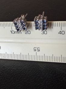 Sterling silver earrings