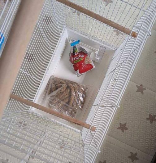 Bird Cage