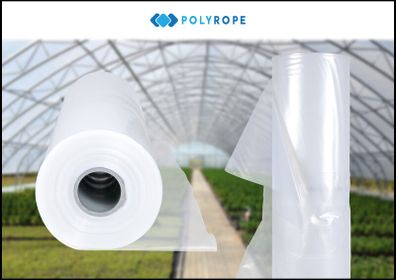 POLYTUNNEL Clear Polythene Sheeting UV4 Greenhouse Foil 8 x 6 meters, 26ft x 20 ft