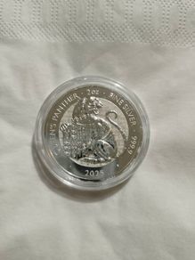 2025 Queen's Panther - Tudor Beasts 2oz Silver Coin