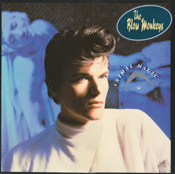 The Blow Monkeys  Animal Magic
