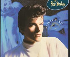The Blow Monkeys  Animal Magic