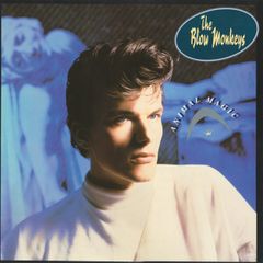 The Blow Monkeys  Animal Magic