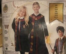 Hermione costume