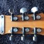 Shergold masquerader 70s Image 4