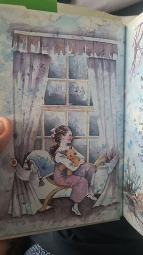 BEAUTIFUL ILLUSTRATED. THE FIRESIDE BOOK. 1995.POEMS OLD AND NEW EACH BEAUTIFULLY illustrated by a full page painting special commission to capture the flavour of the words. Hardback With Dustjacket In Very Good Condition.