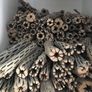 Pieces Cholla Cactus Wood 6"/Chinchilla Chews, shrimps, fishtank Image 6