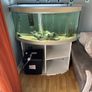250L Aquarium Image 4