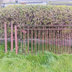 Garden Gates