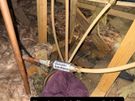 Local Plumber Image 6