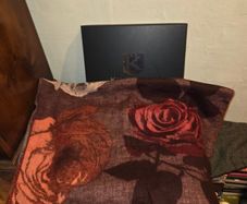 Brand New Fraas Scarf