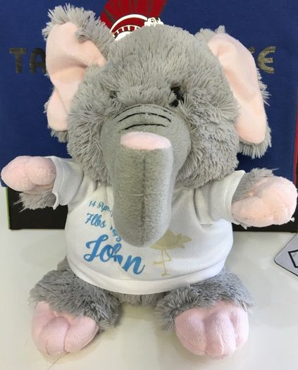 Personalised Photo Elephant Crazy Critter cuddly soft toy with your photo and text