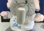 Personalised Photo Elephant Crazy Critter cuddly soft toy with your photo and text
