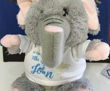 Personalised Photo Elephant Crazy Critter cuddly soft toy with your photo and text