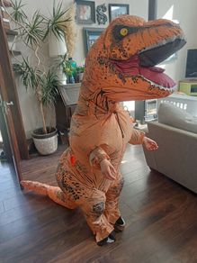 kids dinosaur costume