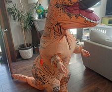 kids dinosaur costume