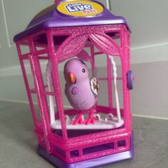 Little Live Pets Bird Cage gift - free shipping