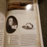 Ned Kelly's Head/& 50 other fascinating Australian Mysteries/ Eamon Evans/ 2020 Image 7