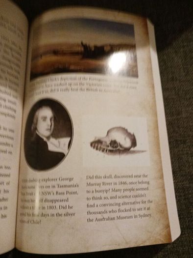 Ned Kelly's Head/& 50 other fascinating Australian Mysteries/ Eamon Evans/ 2020